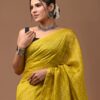 Chanderi Silk Saree with Zari Border in dual contrast ( CSS2507)
