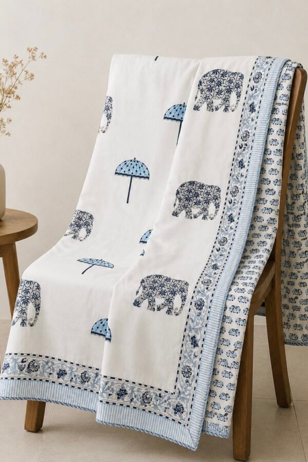 IMG_6659 Ehsaas - Reversible mul cotton dohar double(DMC2602)