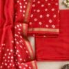IMG_7243 Exclusive Hand Block Print Chanderi Silk Suit Set ( CNSS25041)